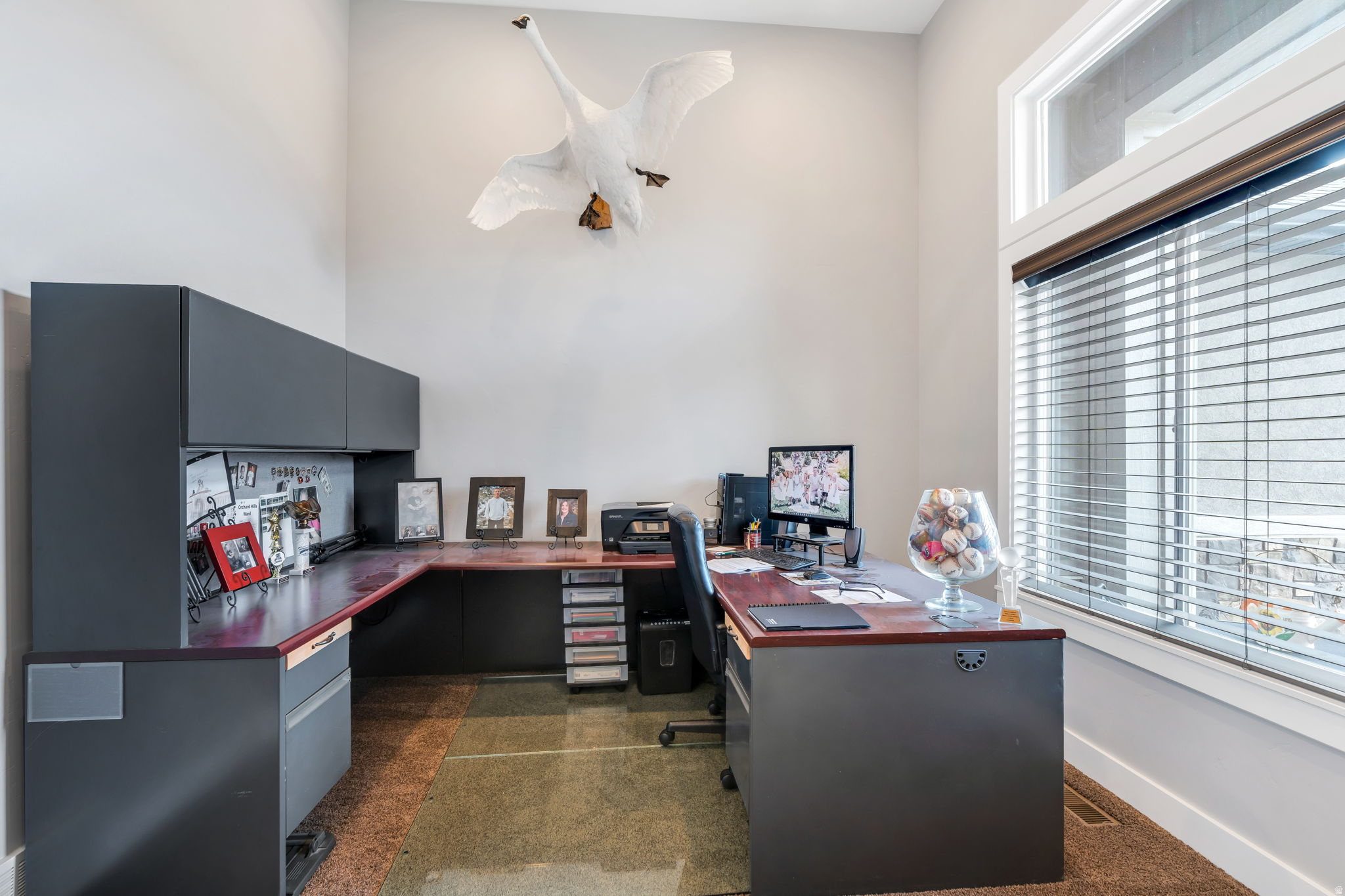 MITCHELL SPRINGS - Residential