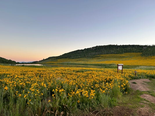 10787 JEDIDIAH SMITH DR H215, HUNTSVILLE, UT 84317 - Image 85c19c042d6fd33b3478fb68c337c3e6/1480666888