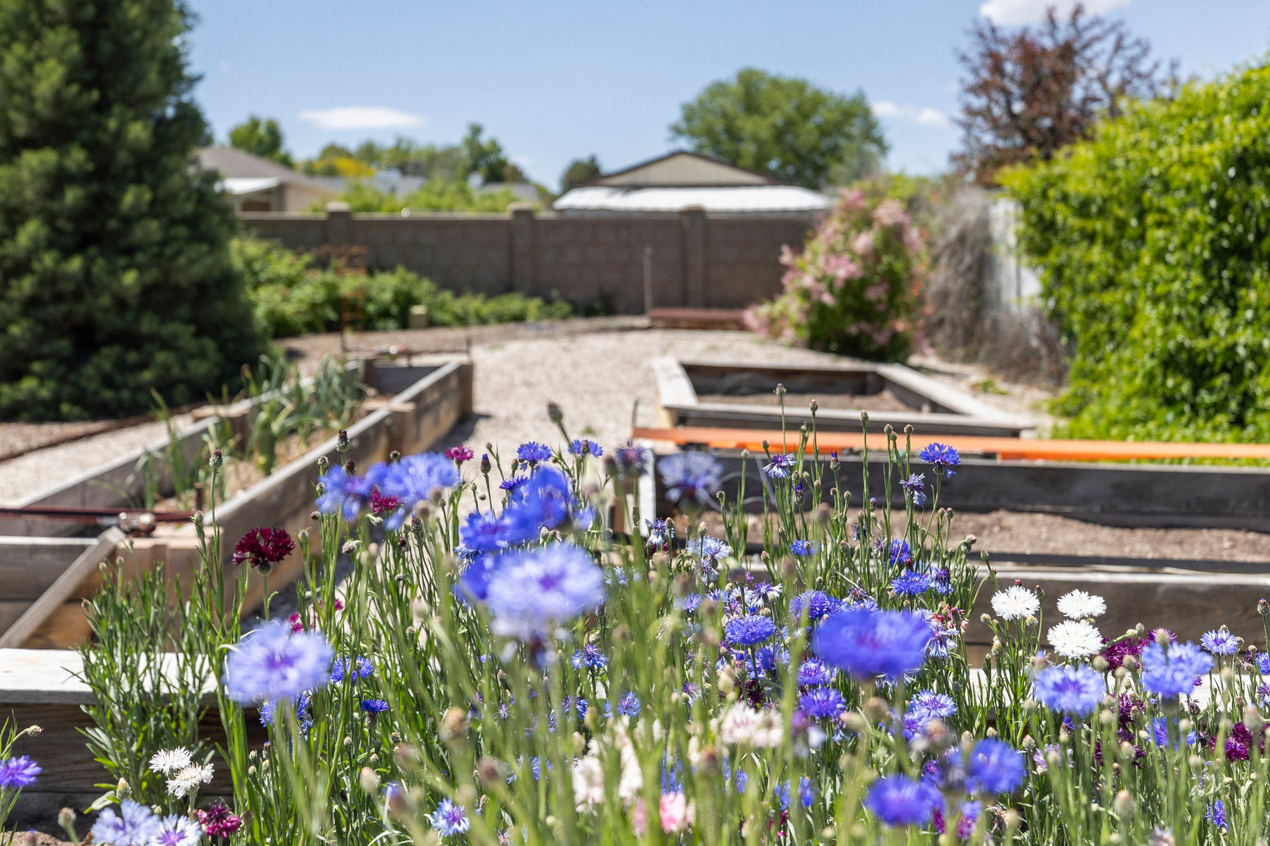 WEST RIVER ESTATES - Residential