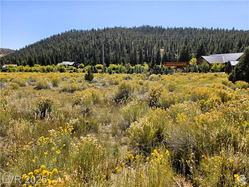 ASPEN HIGHLANDS SUBDIVISION - Land