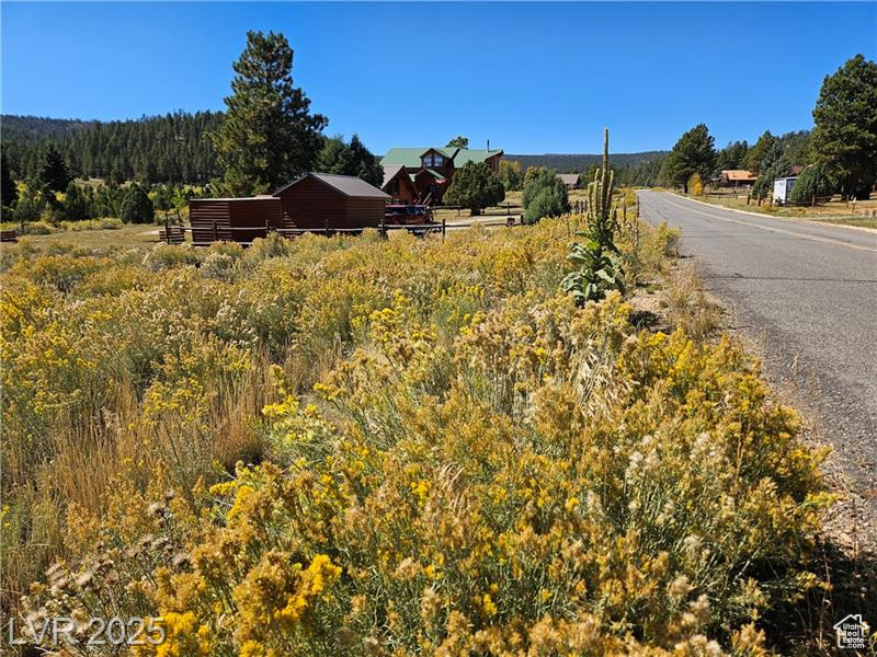 ASPEN HIGHLANDS SUBDIVISION - Land