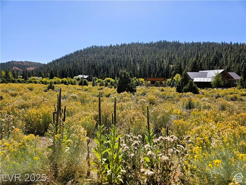 ASPEN HIGHLANDS SUBDIVISION - Land