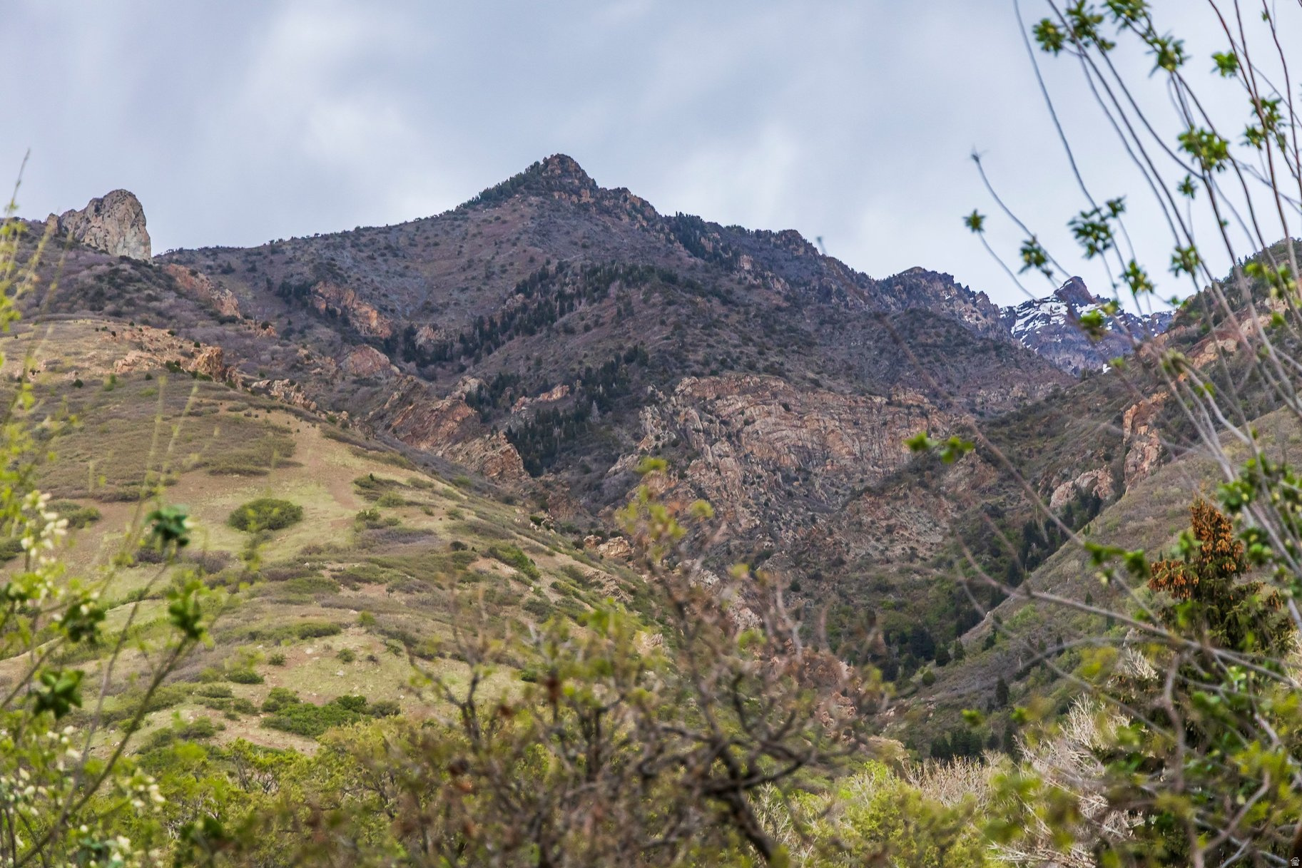 HIDDEN OAKS - Residential