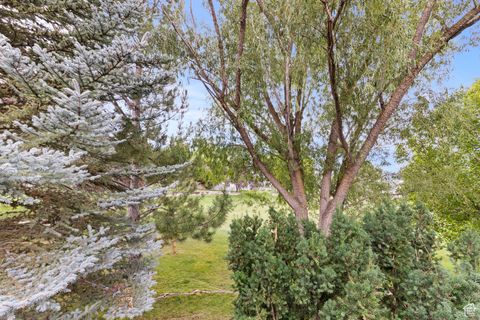 Tiny photo for 22 HILLSBOROUGH DR, Pleasant View, UT 84414 (MLS # 2115965)