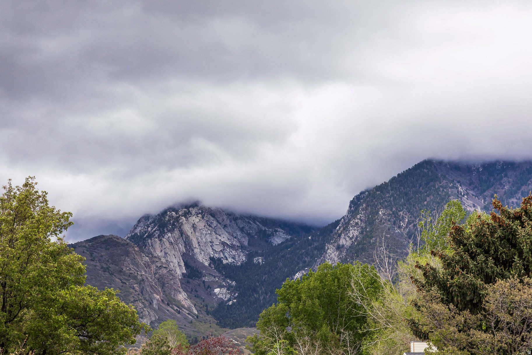 PARK CREST - Residential