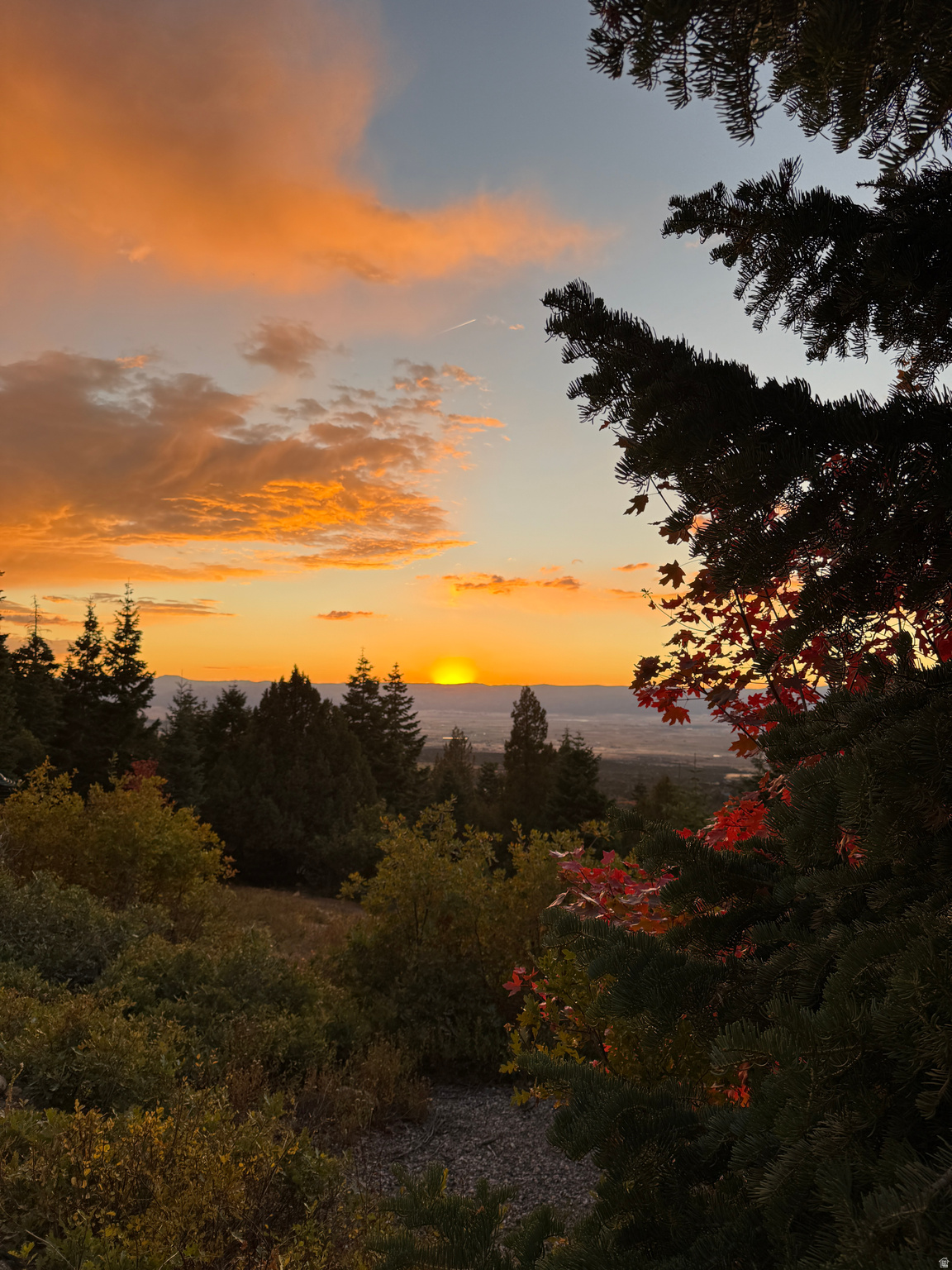 PINE CREEK RANCH - Land