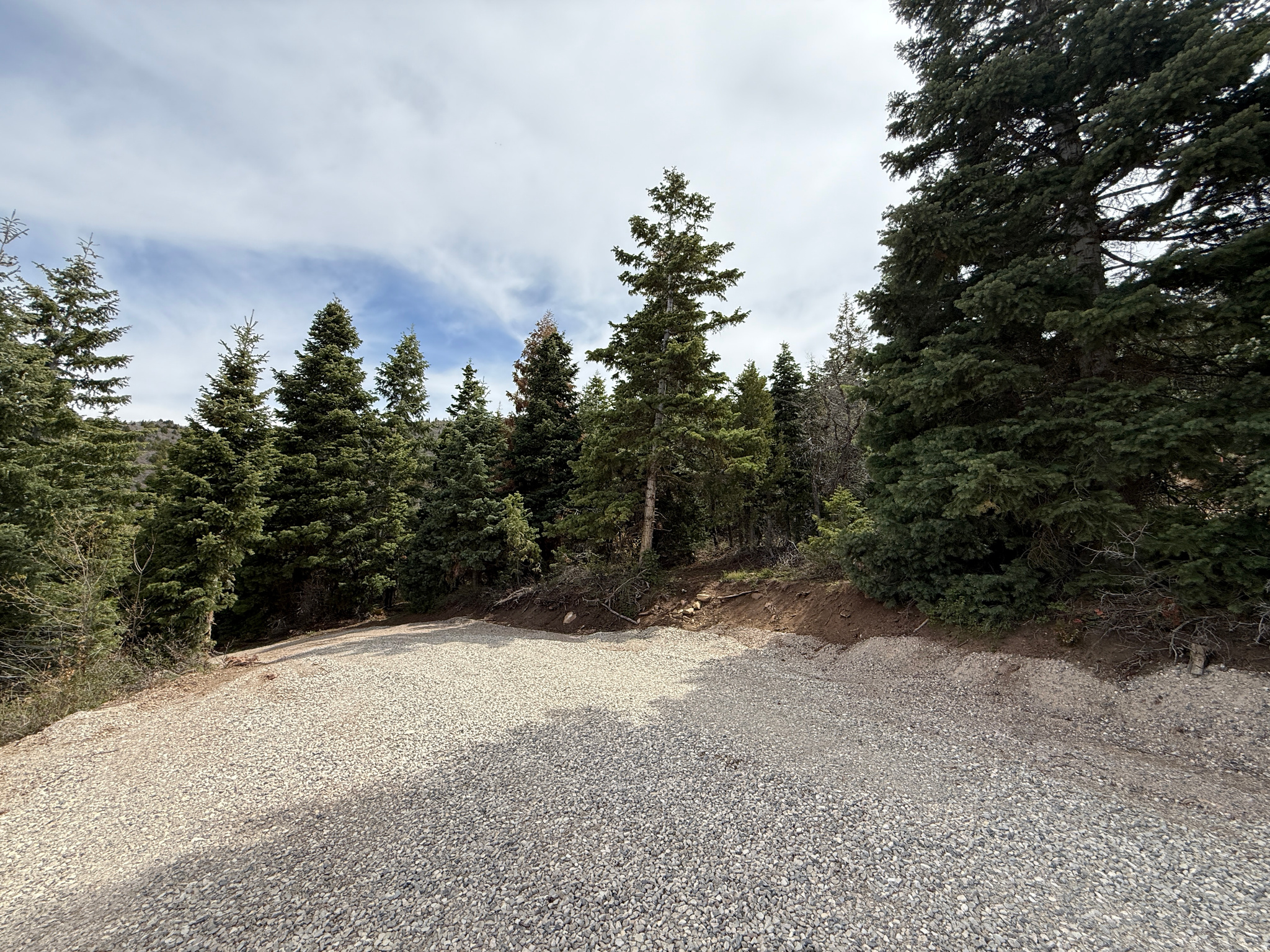 PINE CREEK RANCH - Land