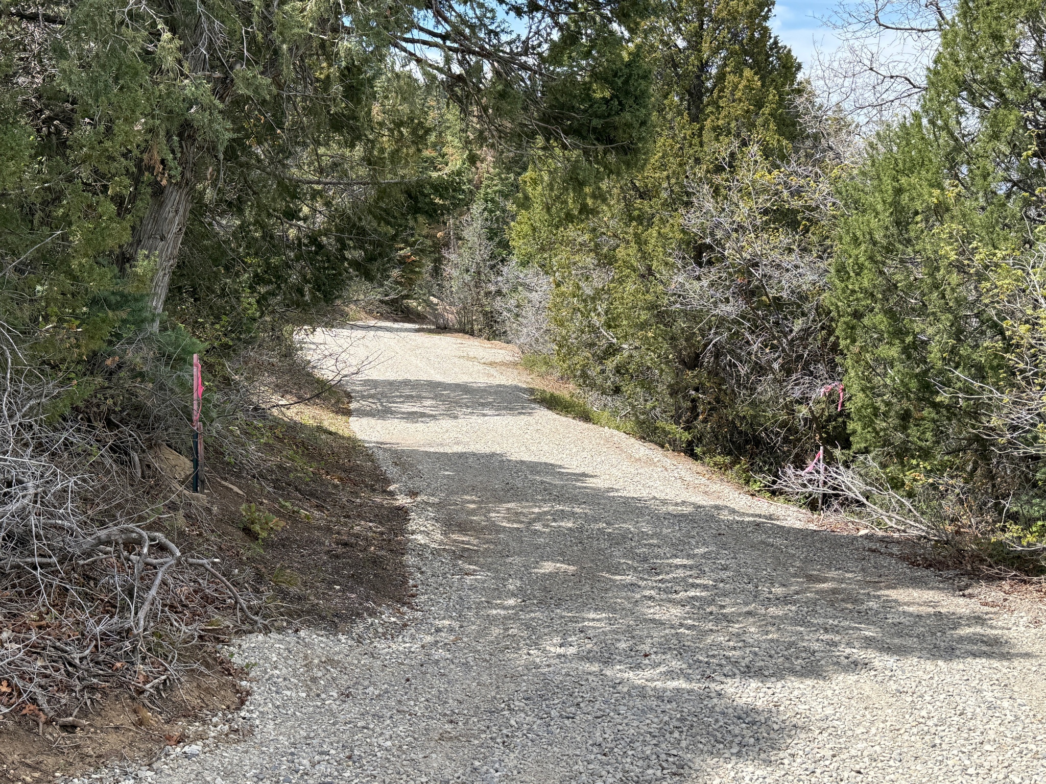 PINE CREEK RANCH - Land
