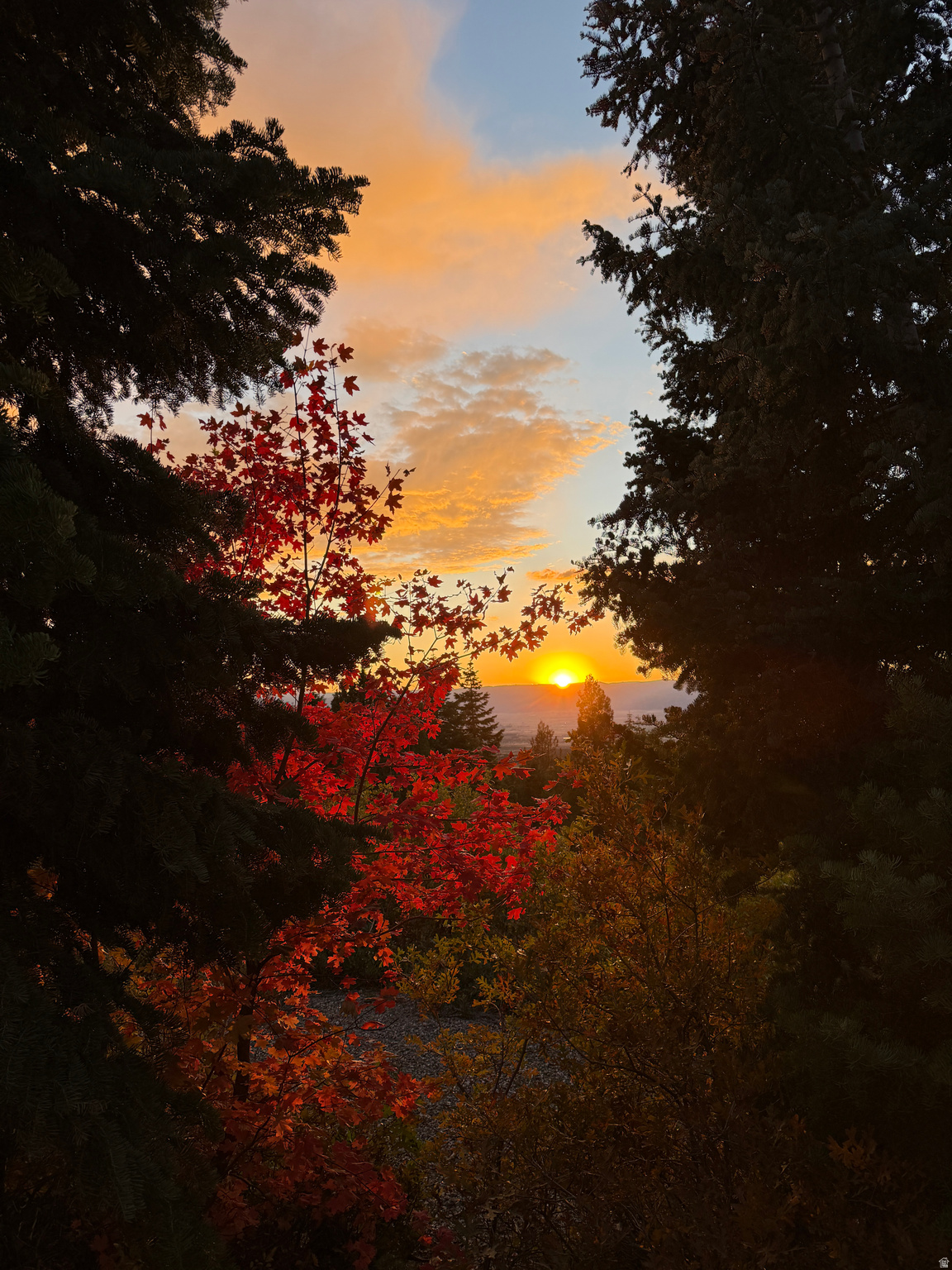 PINE CREEK RANCH - Land