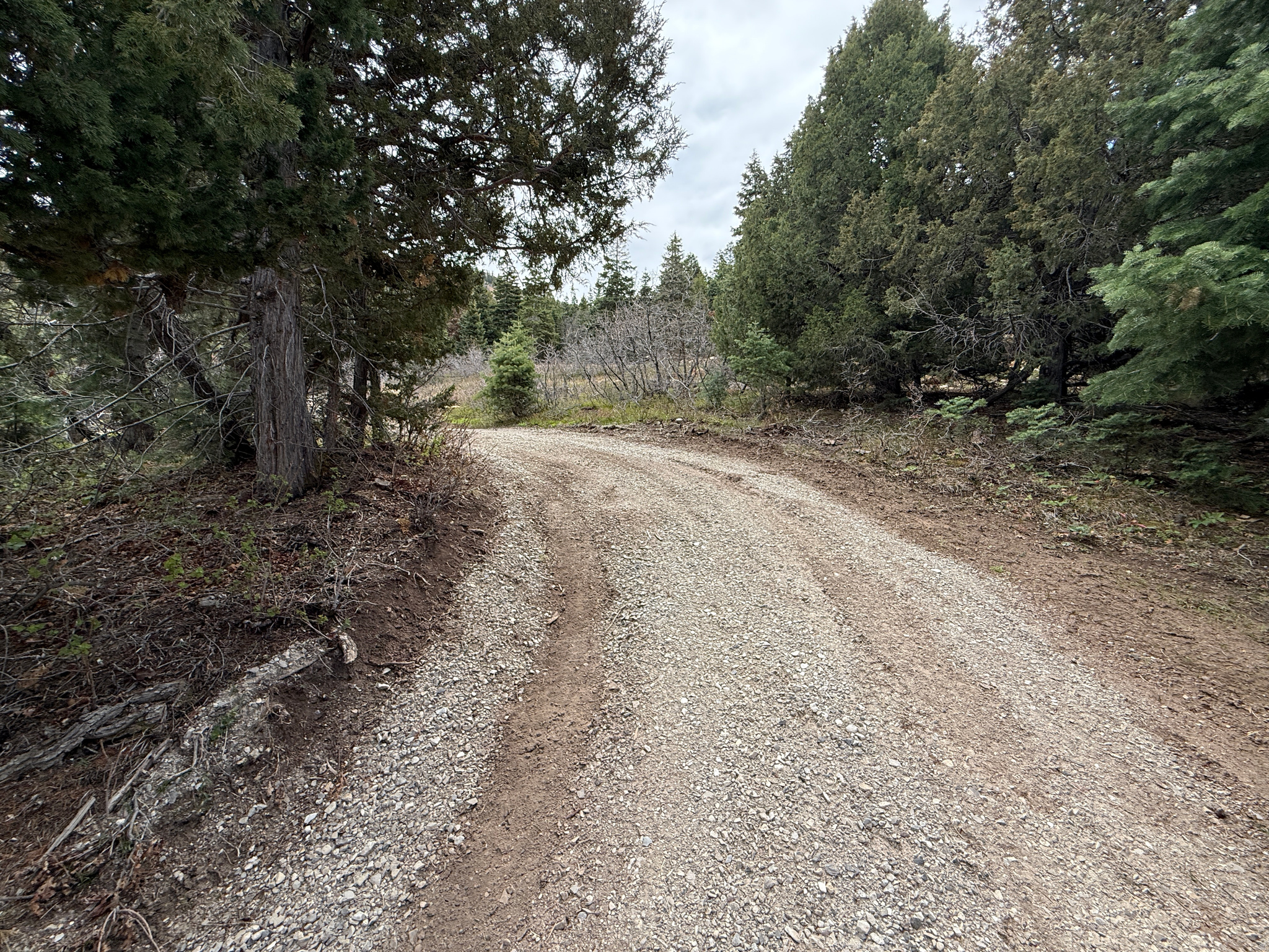 PINE CREEK RANCH - Land
