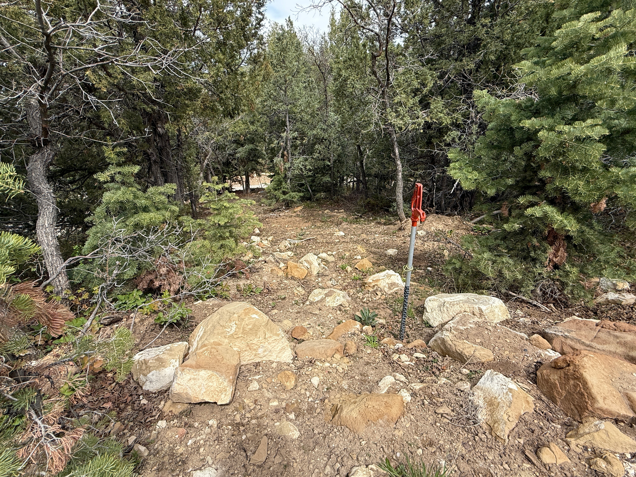 PINE CREEK RANCH - Land