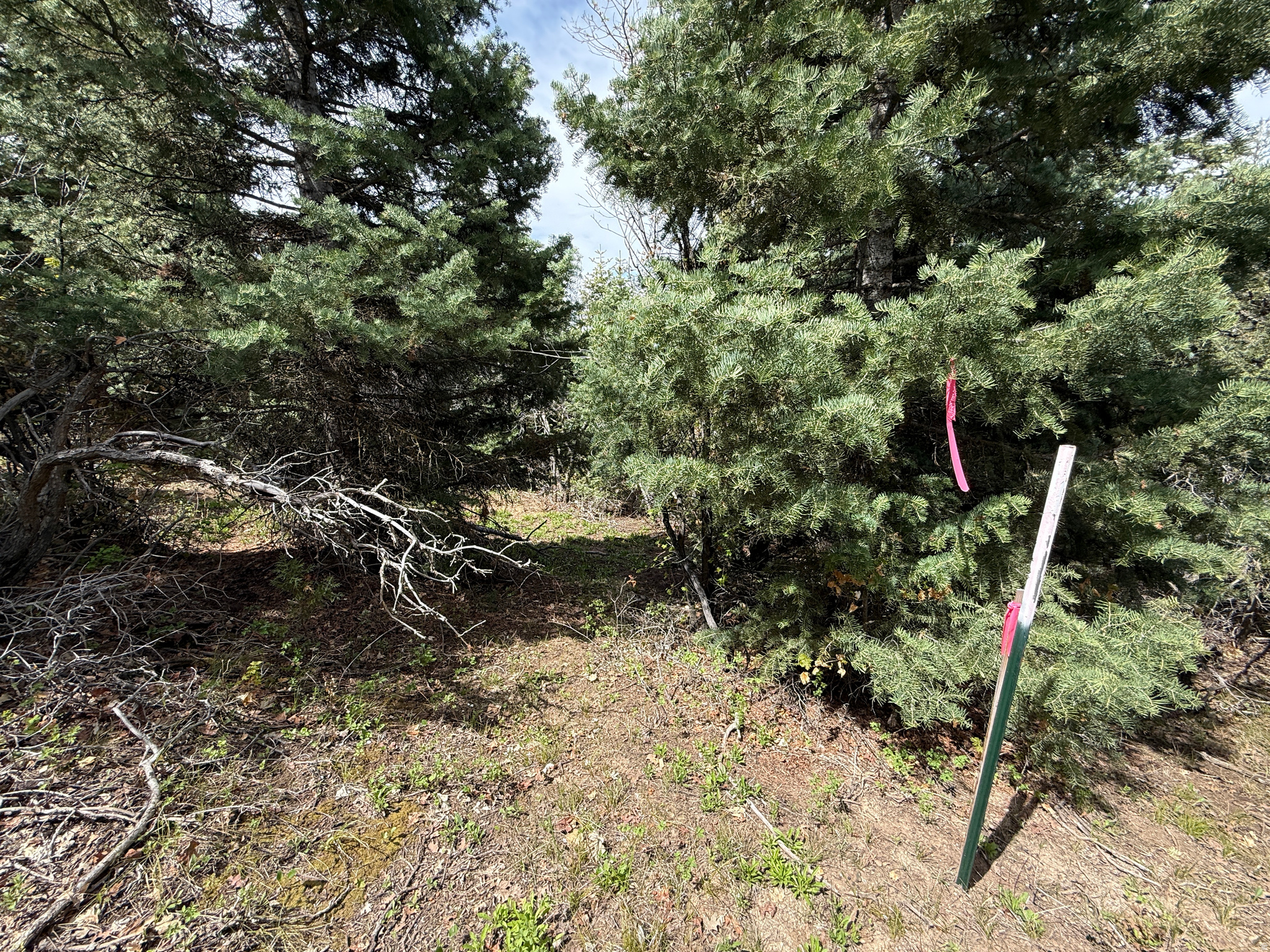 PINE CREEK RANCH - Land