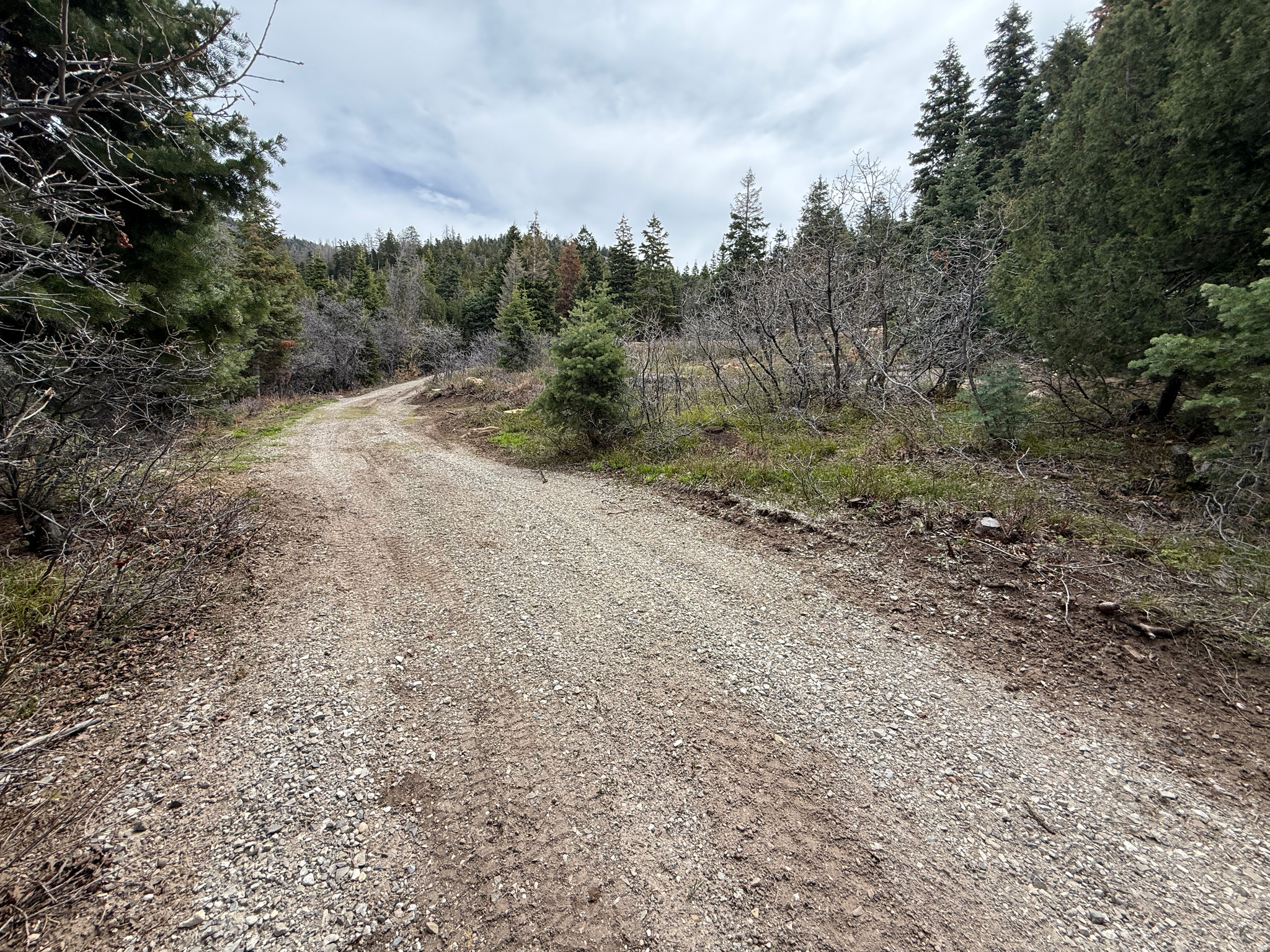 PINE CREEK RANCH - Land