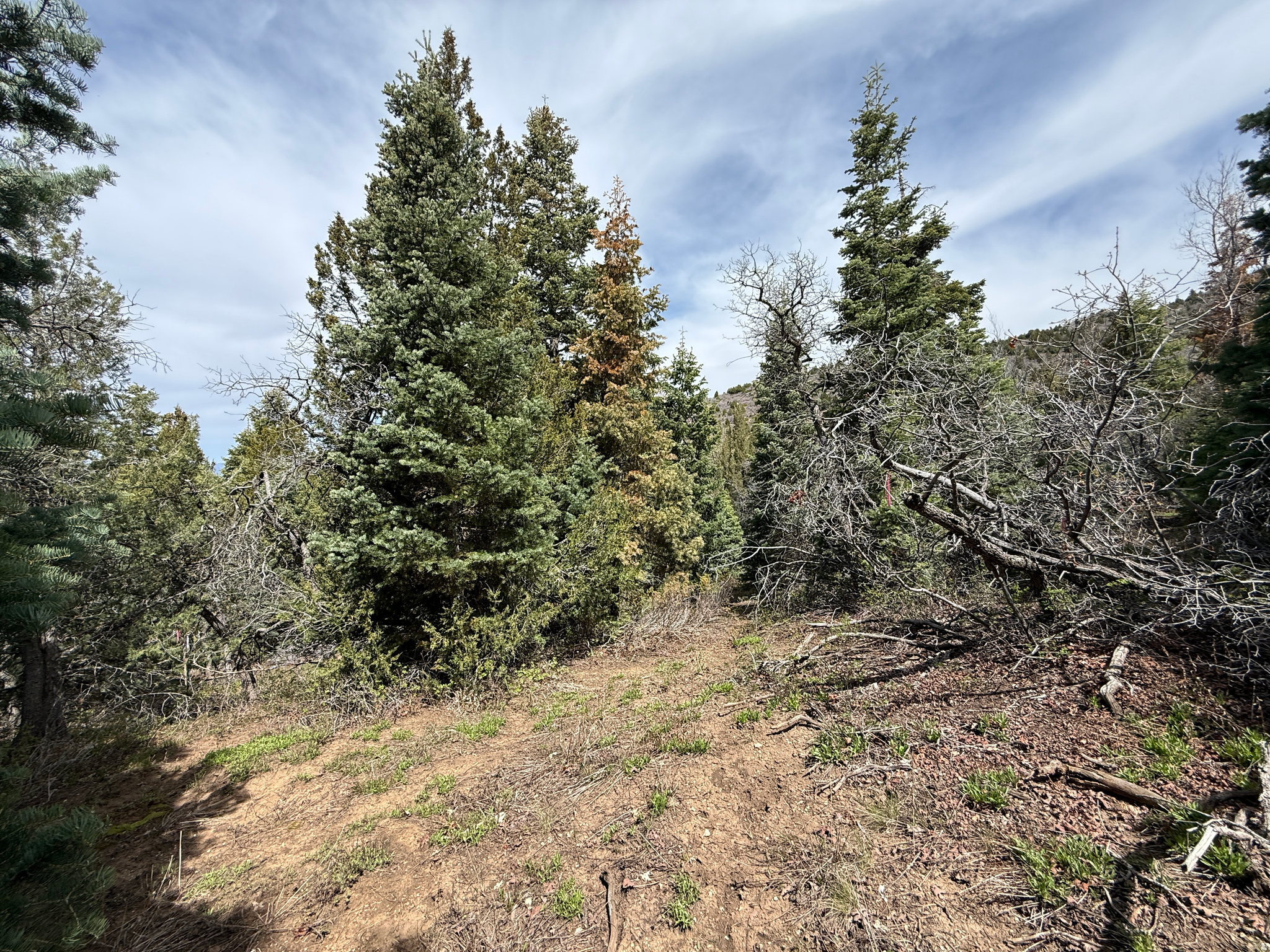 PINE CREEK RANCH - Land