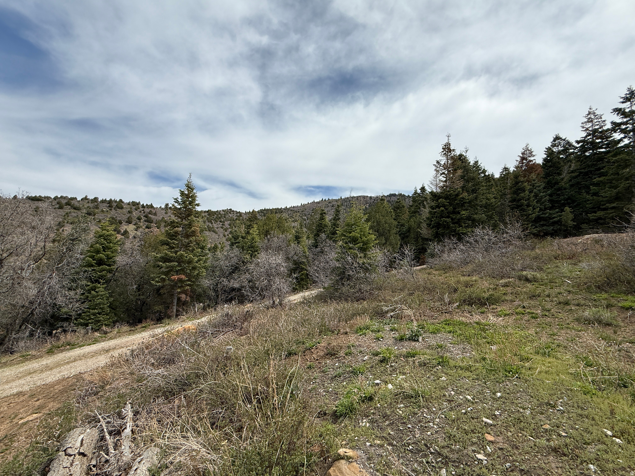 PINE CREEK RANCH - Land