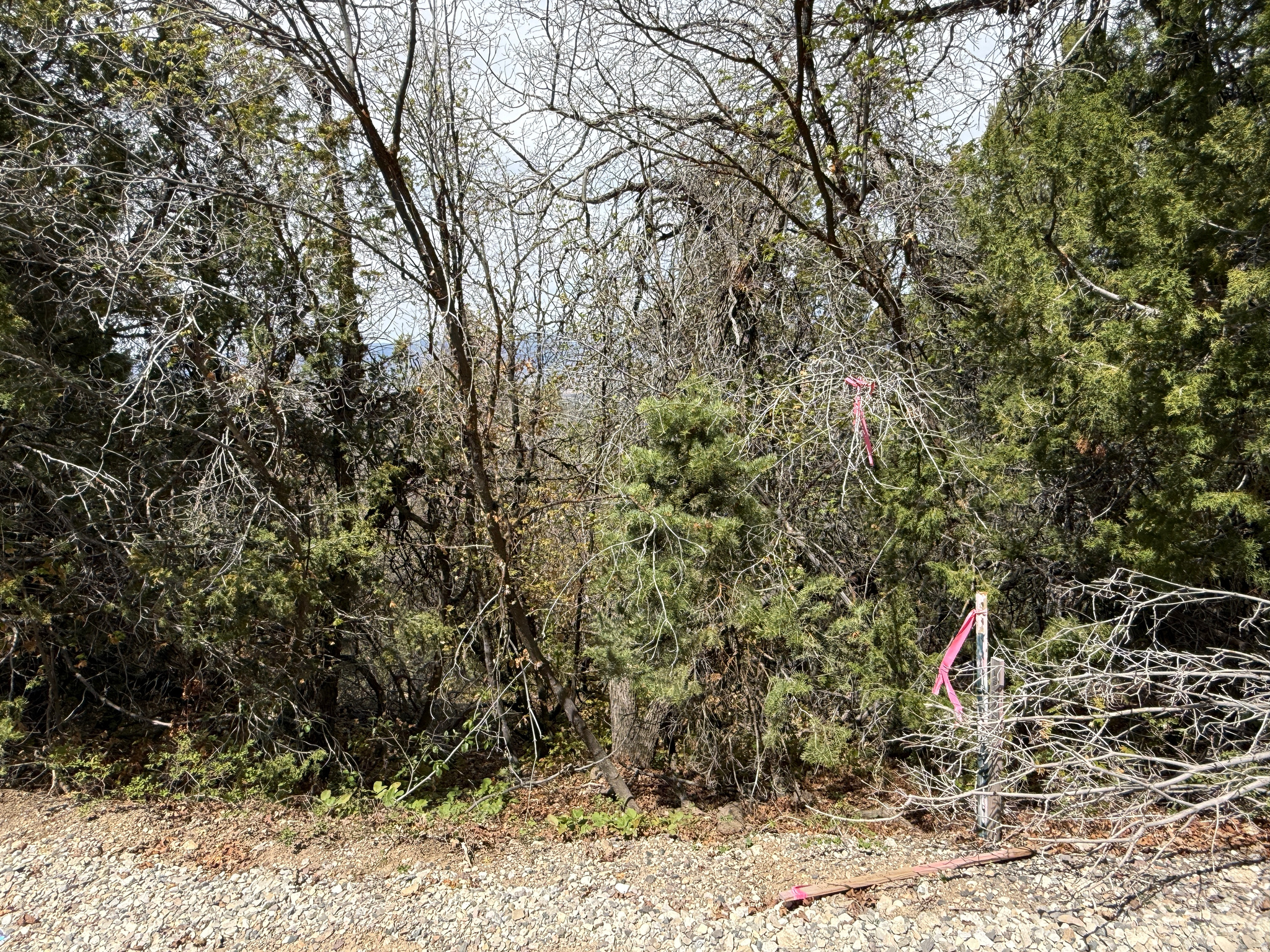 PINE CREEK RANCH - Land