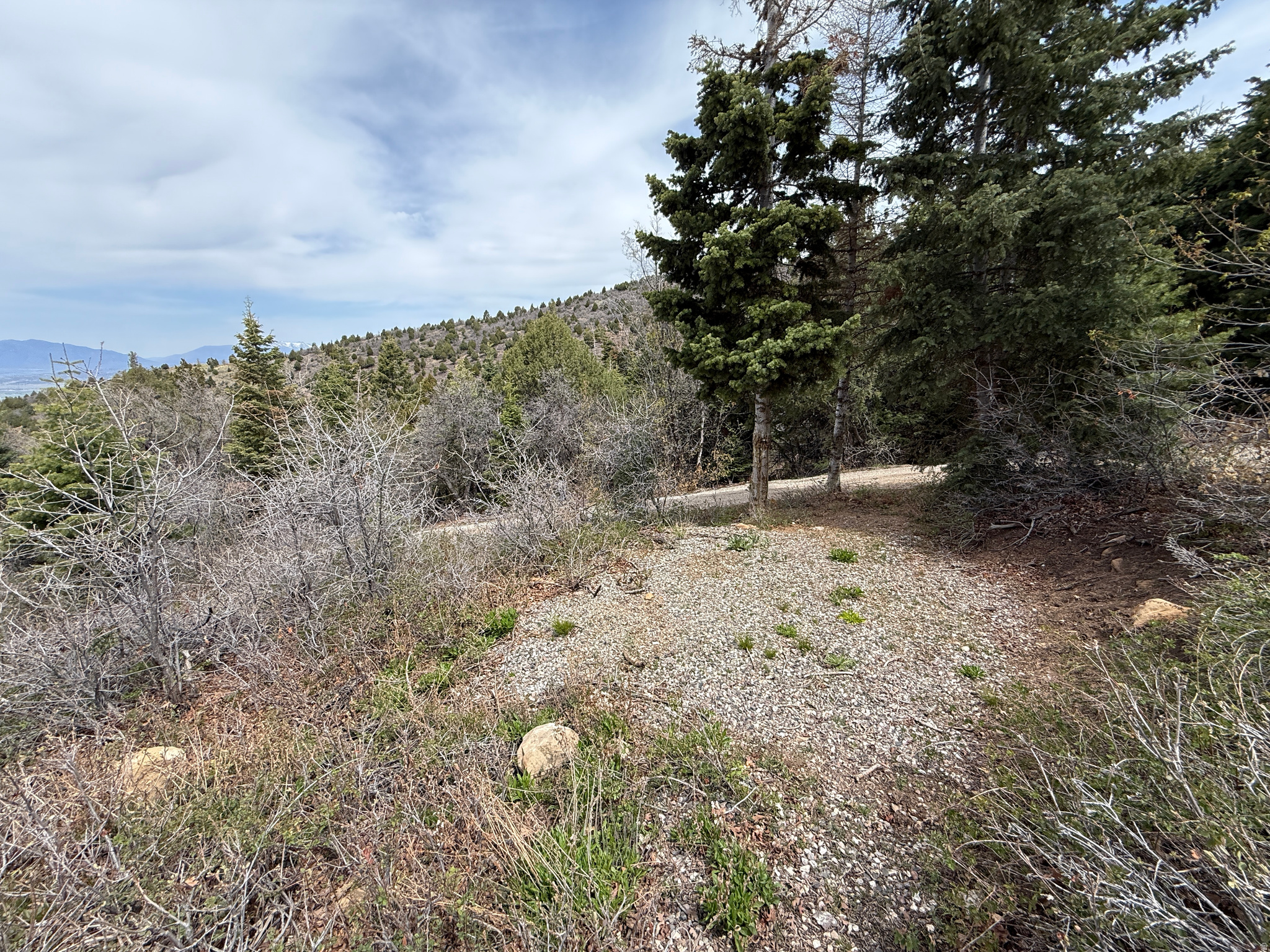 PINE CREEK RANCH - Land
