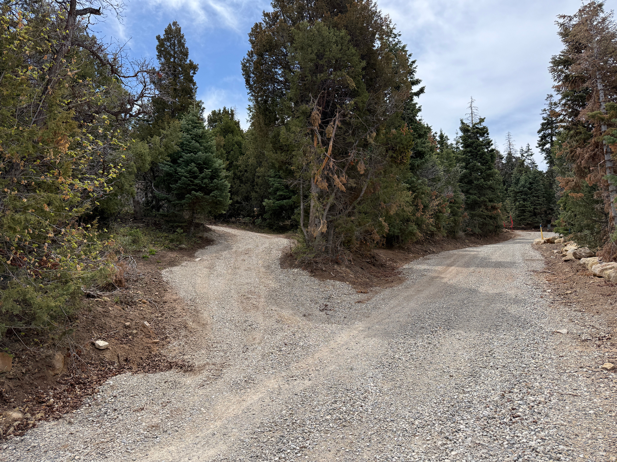 PINE CREEK RANCH - Land