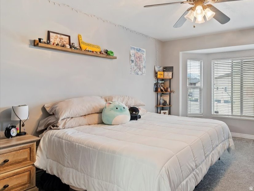 CANTERBURY CROSSING - Residential