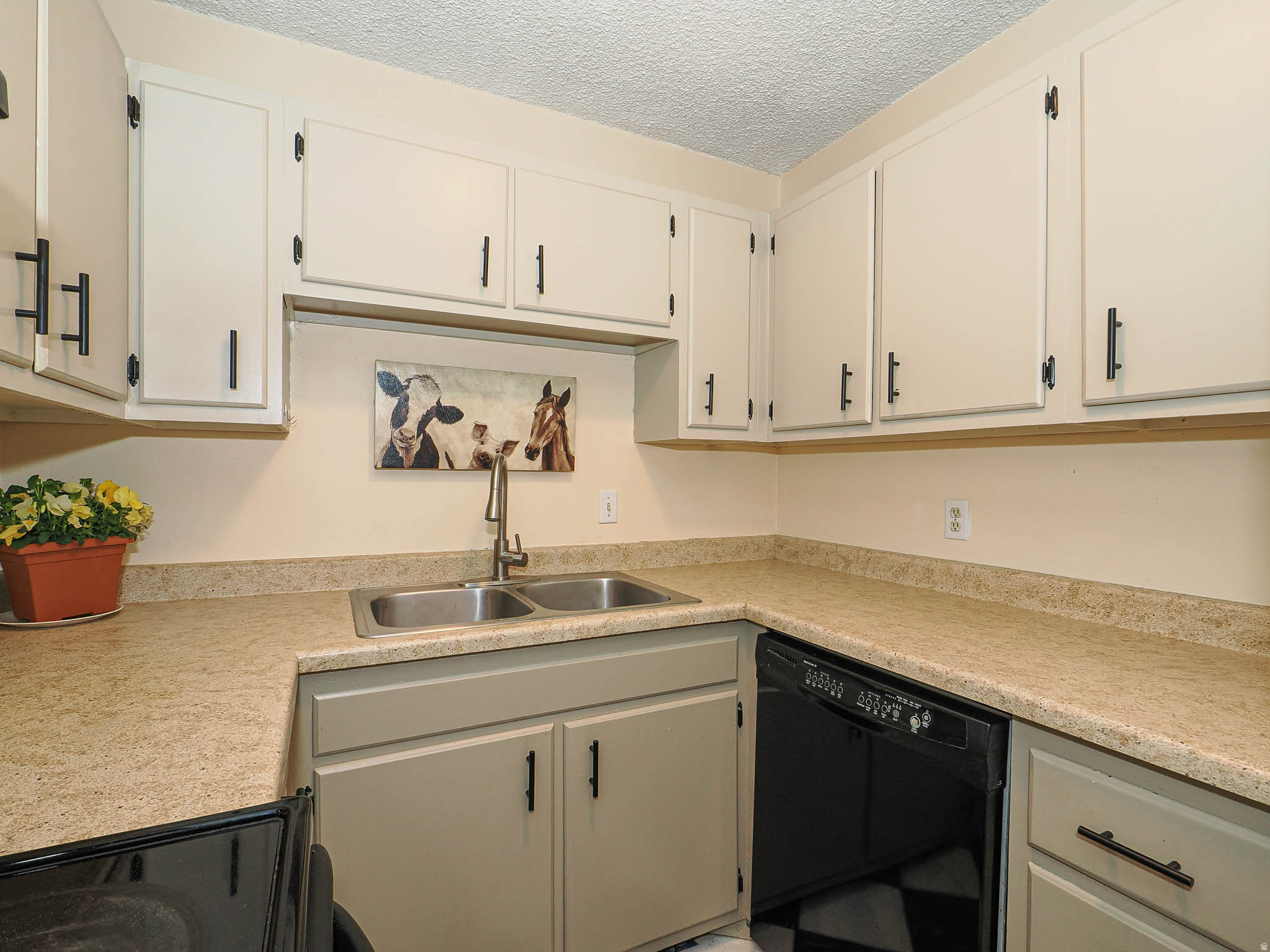 MOUNTAIN VIEW PARK - Residential