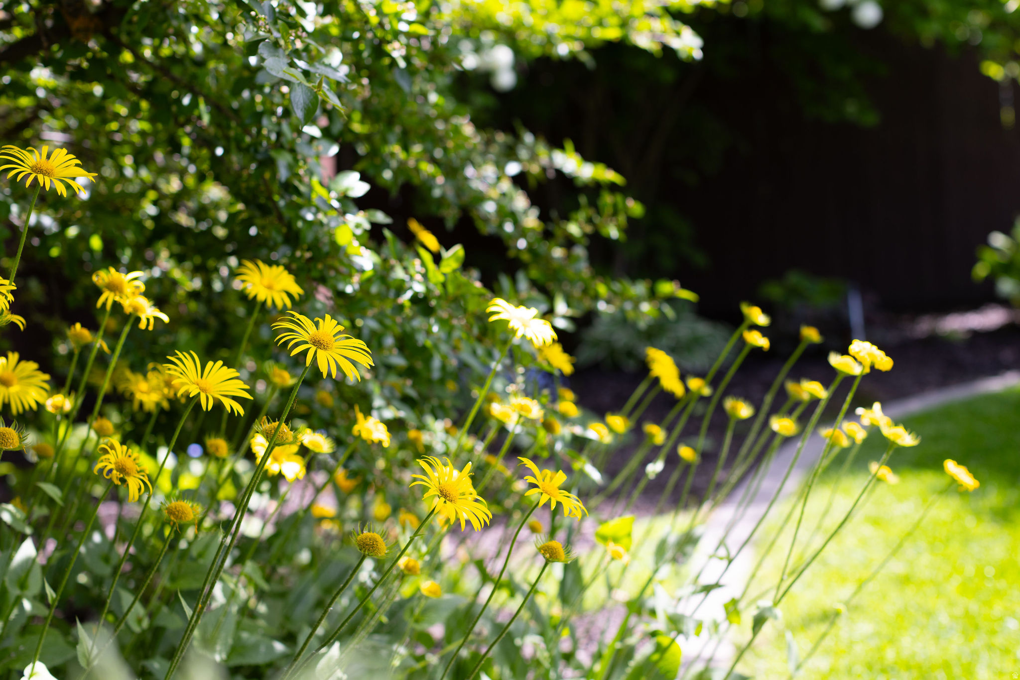 UNIVERSITY HEIGHTS - Residential