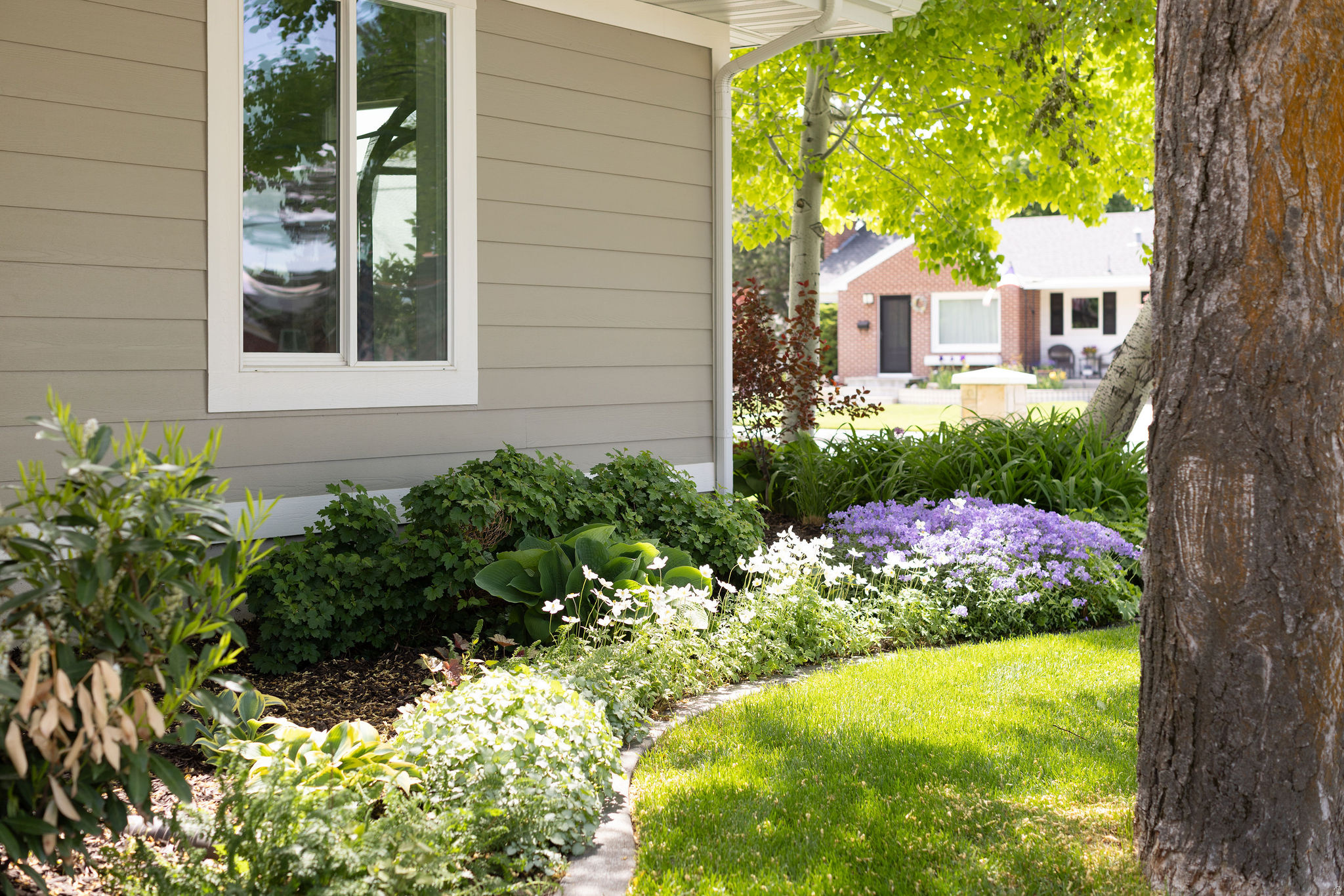 UNIVERSITY HEIGHTS - Residential