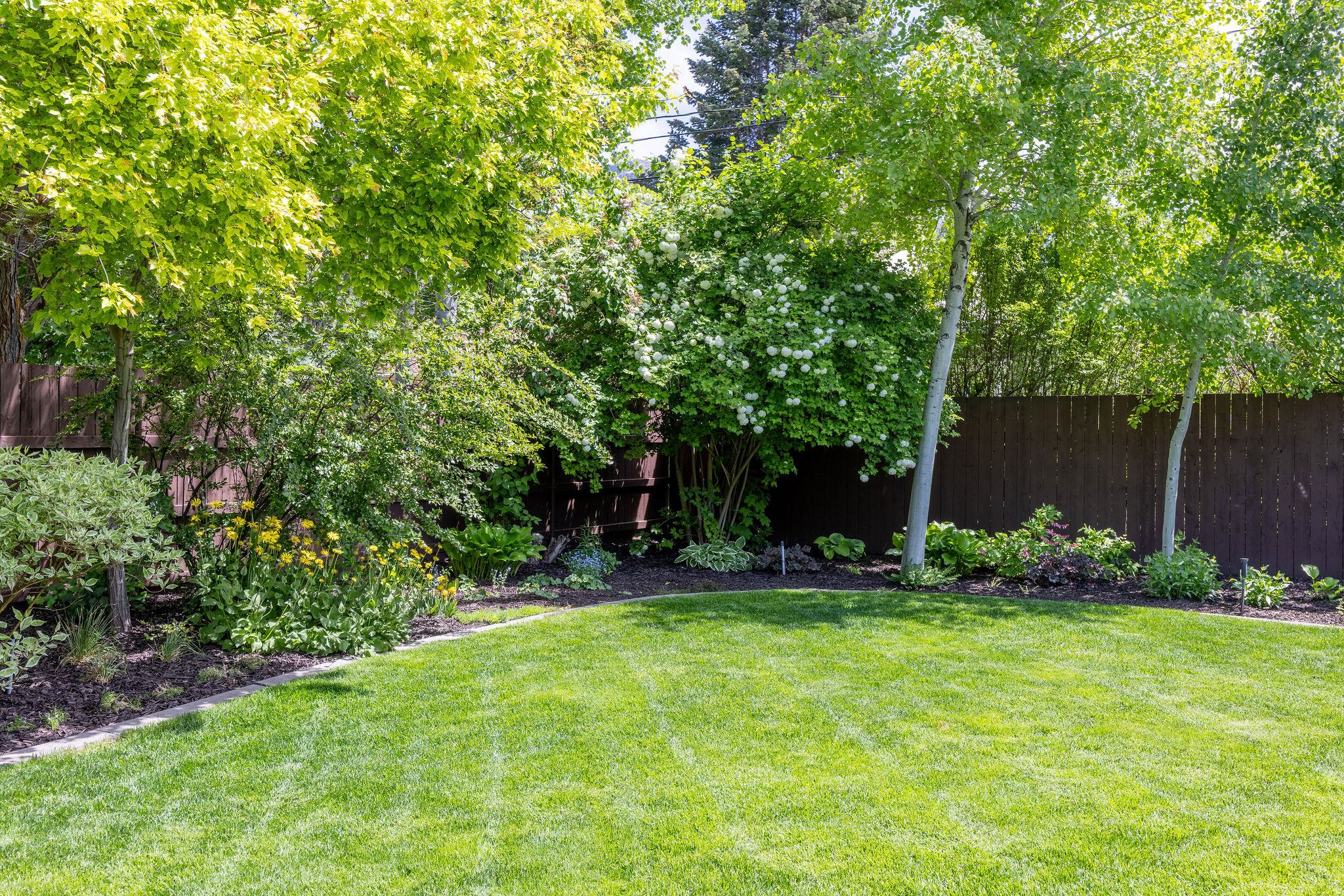 UNIVERSITY HEIGHTS - Residential