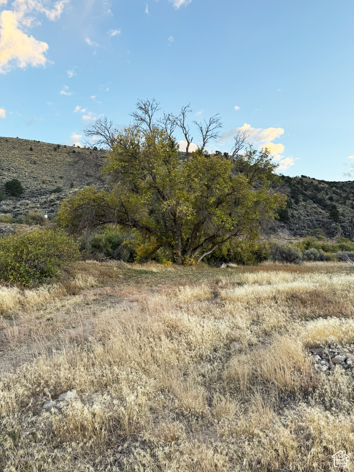 17842 N Outlaw South Rd #6, Panguitch, Utah image 9