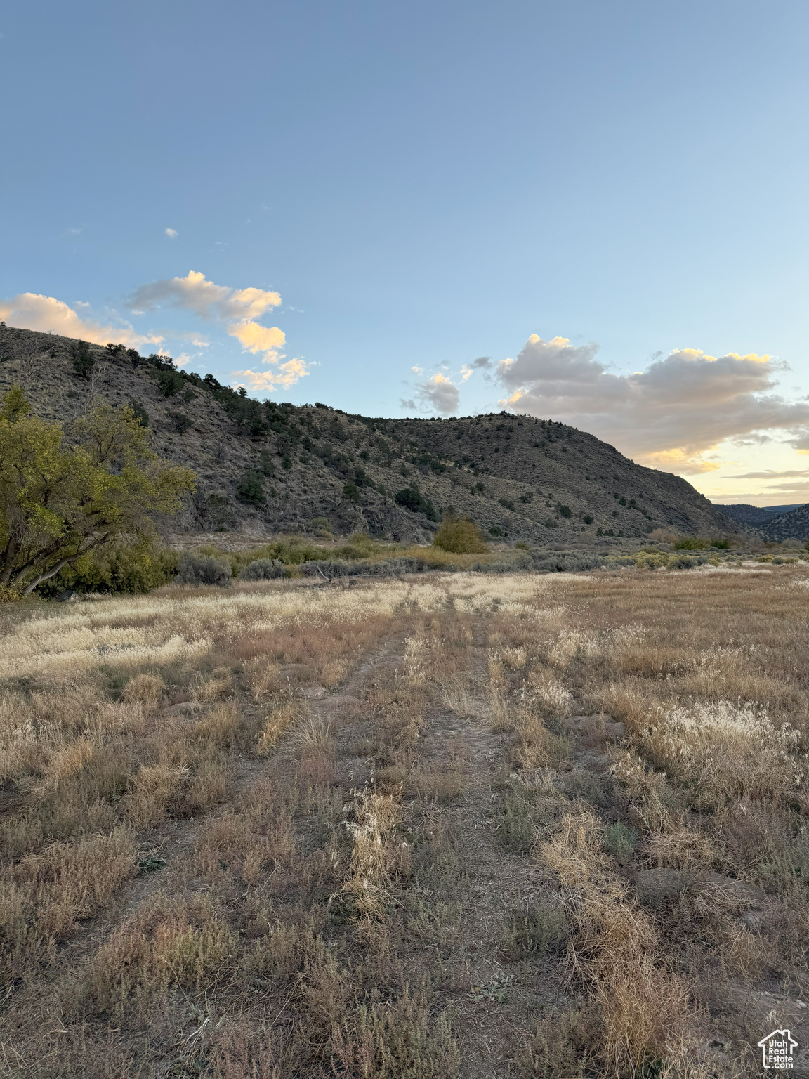 17842 N Outlaw South Rd #6, Panguitch, Utah image 7