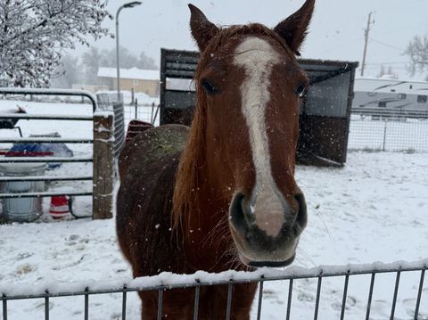 Tiny photo for 5015 S 6700 W, Hooper, UT 84315 (MLS # 2138004)