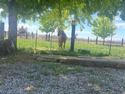 Tiny photo for 5015 S 6700 W, Hooper, UT 84315 (MLS # 2138004)