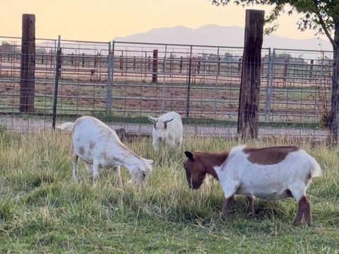 Tiny photo for 5015 S 6700 W, Hooper, UT 84315 (MLS # 2138004)