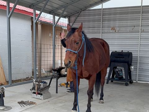 Tiny photo for 5015 S 6700 W, Hooper, UT 84315 (MLS # 2138004)