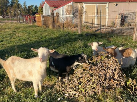 Tiny photo for 5015 S 6700 W, Hooper, UT 84315 (MLS # 2138004)