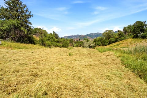 Vacant Land For Sale - 400 N 500<br/> Kaysville, UT 84037