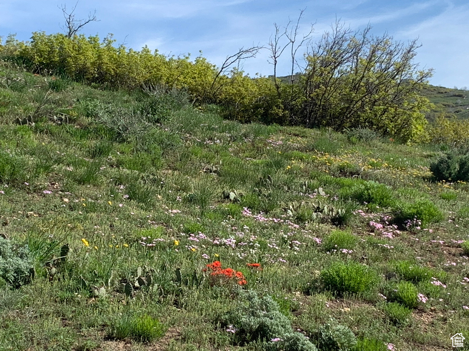 5251 E 31750, Fairview, Utah image 37