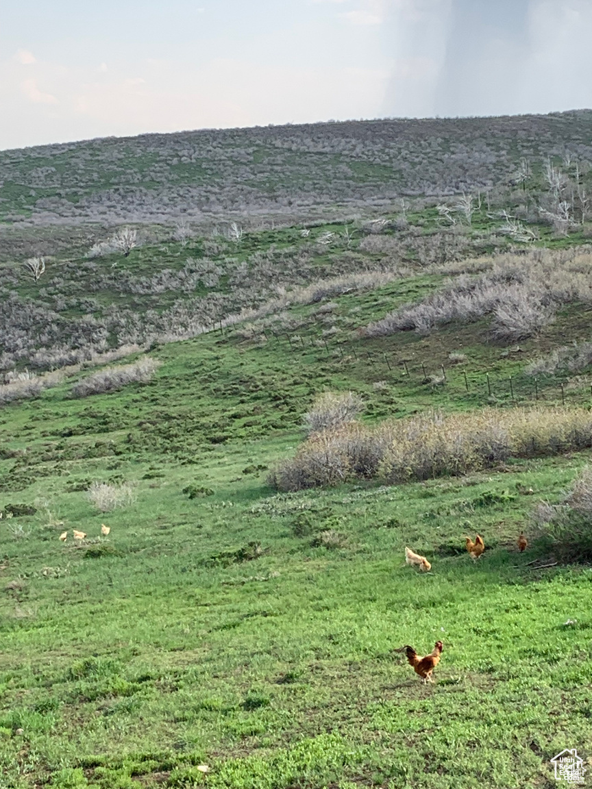 5251 E 31750, Fairview, Utah image 38