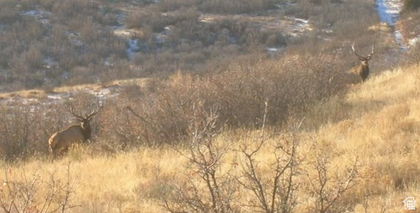 5251 E 31750, Fairview, Utah image 28