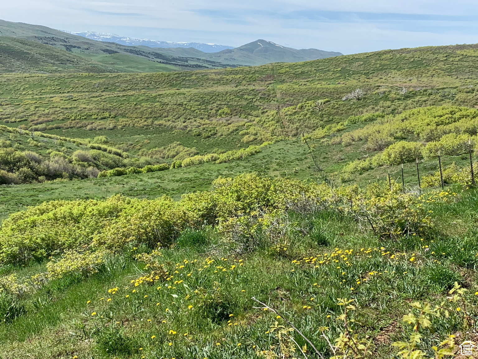 5251 E 31750, Fairview, Utah image 34