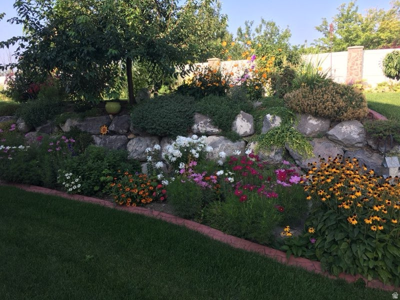 WHEATLAND ESTATES HO - Residential