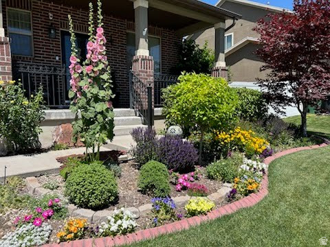 WHEATLAND ESTATES HO - Residential