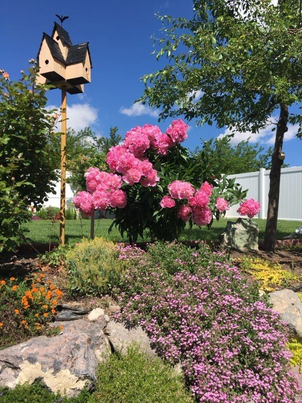 WHEATLAND ESTATES HO - Residential