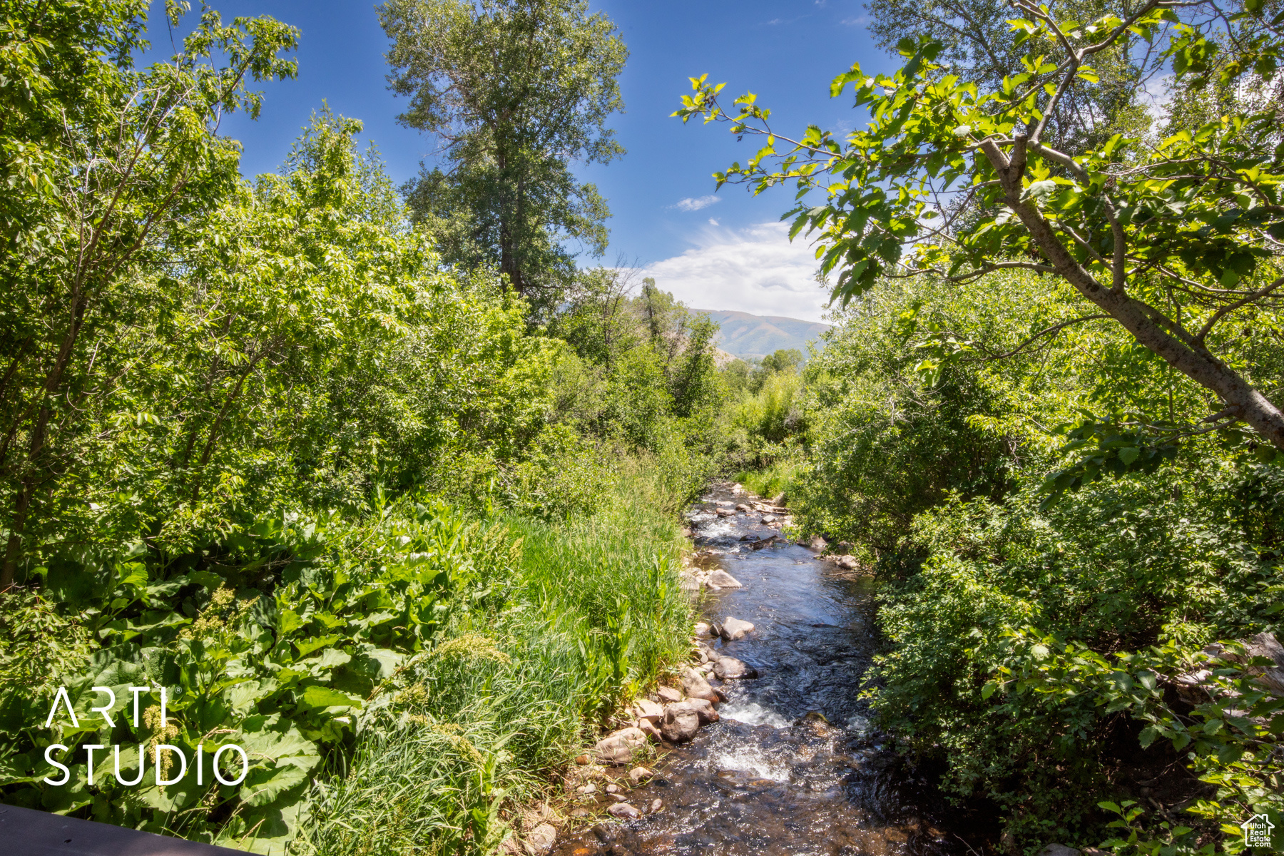 6481 N Fork Rd #N, Eden, Utah image 1