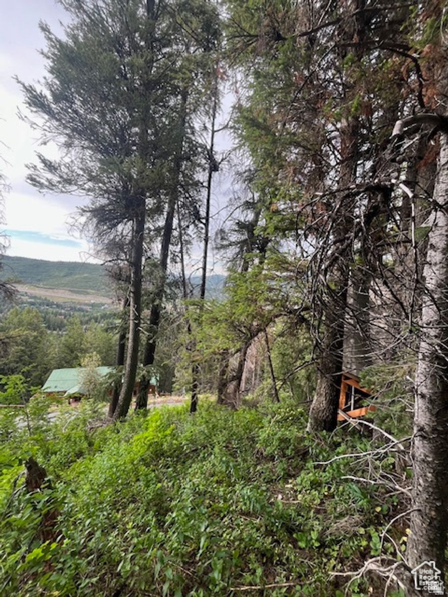 Discover the canvas for your dream mountain home in the heart of Summit Park, one of Park City's most sought-after neighborhoods. Nestled among mature pines and aspens, this gently sloped lot offers sweeping views of the surrounding Wasatch Mountains and breathtaking valley views. Enjoy year around beauty, privacy, and direct access to hiking and biking trails, all while being just minutes from world-class skiing, dinning, and shopping in both Park City and Salt Lake City.