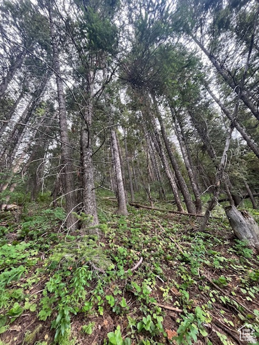 Photo of 415 E MATTERHORN DR. Dr S #138, Park City, UT 84098 (MLS # 2132623)