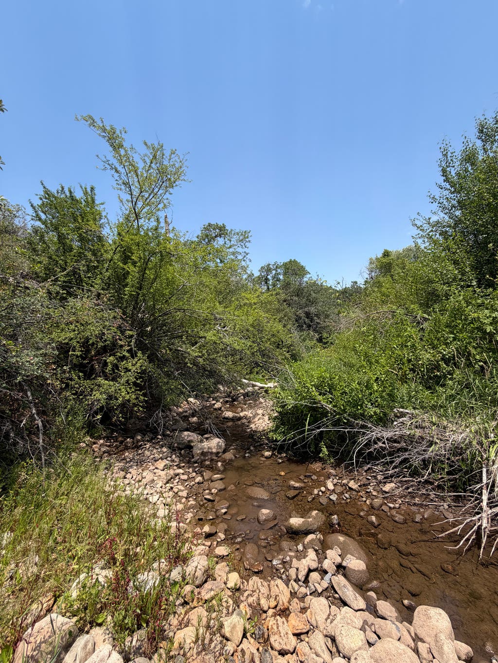 Photo of 785 HARDSCRABBLE RD, Morgan, UT 84050 (MLS # 2171606)