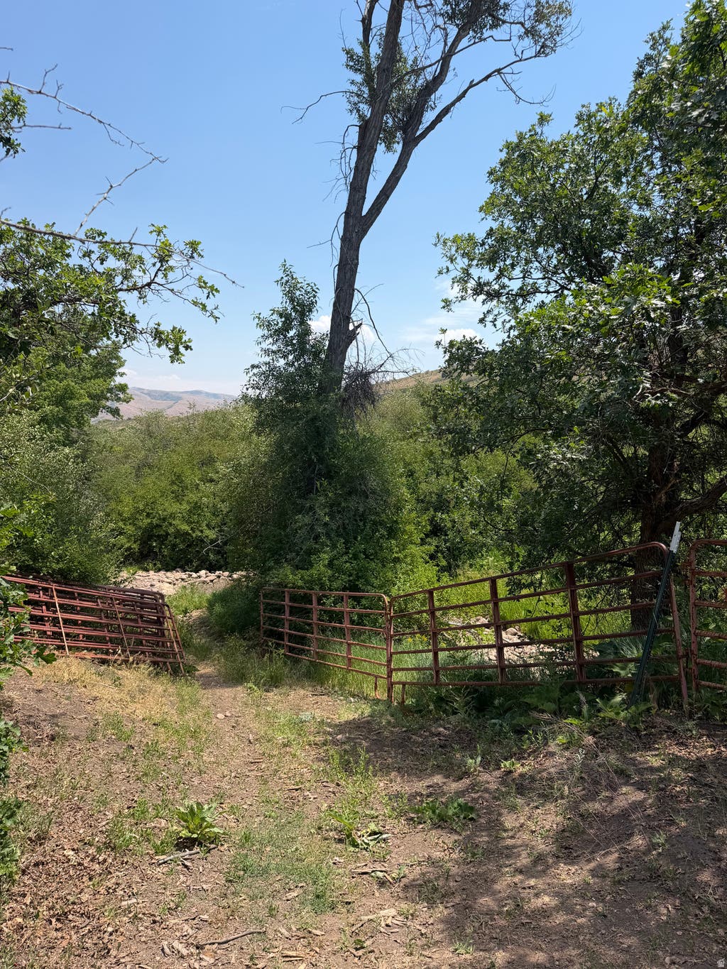 Photo of 785 HARDSCRABBLE RD, Morgan, UT 84050 (MLS # 2171606)