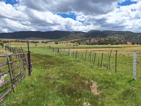 Photo of Pinto, UT 84756 (MLS # 2179928)
