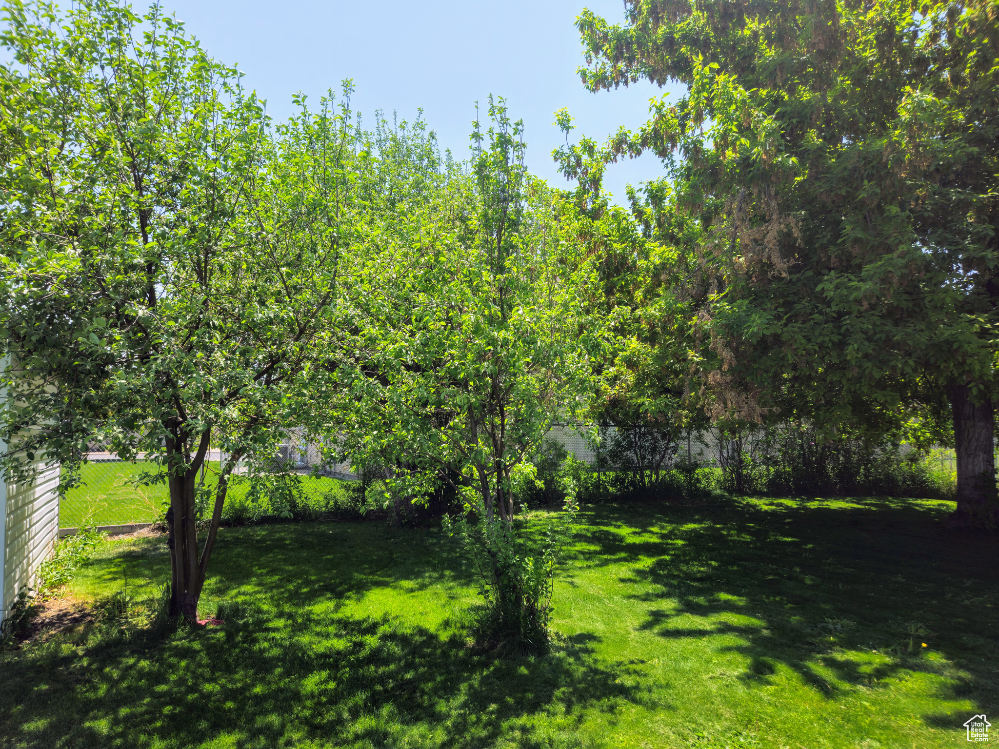 719 Adams St, Montpelier, Idaho image 9