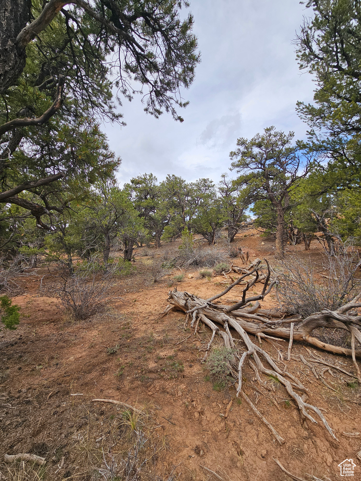 RIM ROCK RANCHES - Land